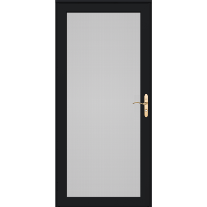 Platinum Secure Screen