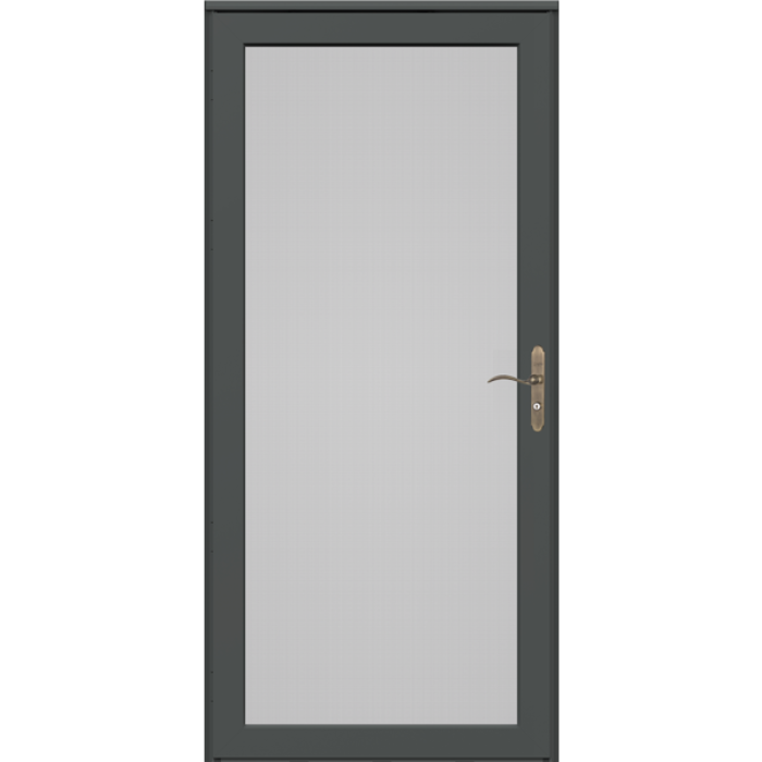 Platinum Secure Screen