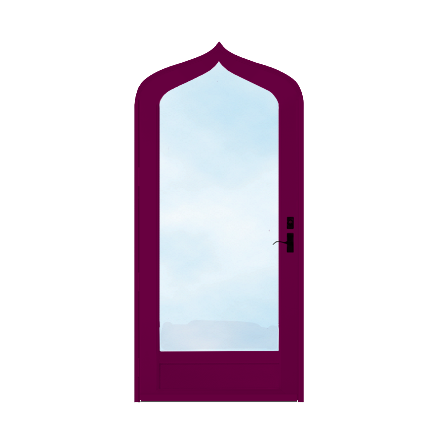 Arch Top Storm Door -Full View W/Kickplate