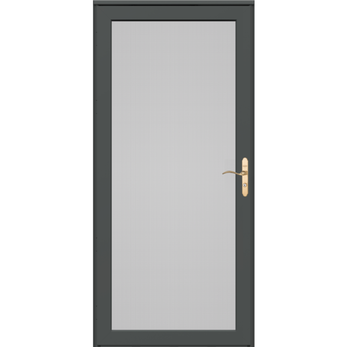 Platinum Secure Screen