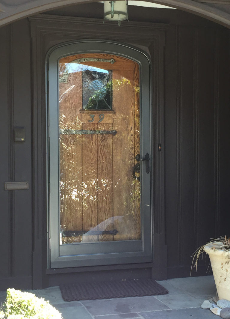 Arch Top Storm Door -Full View W/Kickplate